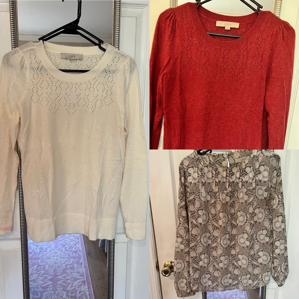 Brand New Loft Sweaters and Blouse
